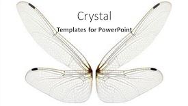 Presentation with dragonfly - Presentation theme featuring dragonfly-wings-isolated-on-white background and a white colored foreground