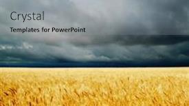  Presentation with rain clouds - Amazing slide set having clouds over golden field rain backdrop and a light gray colored foreground