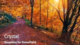  Presentation with forest morning - Cool new theme with majestic colorful forest with sunny backdrop and a tawny brown colored foreground