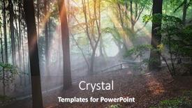  Presentation with forest fairy - Theme consisting of dramatic-natural-forest-and-sunbeams background and a tawny brown colored foreground