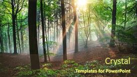  Presentation with forest fairy - Beautiful PPT theme featuring dramatic-natural-forest-and-sunbeams backdrop and a tawny brown colored foreground