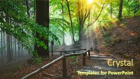  Presentation with forest morning - Cool new slide deck with dramatic-natural-forest-and-sunbeams backdrop and a tawny brown colored foreground