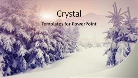  Presentation with solar tree evening landscape - Amazing slide deck having dramatic overcast sky creative collage backdrop and a lemonade colored foreground