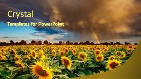  Presentation with scene - Slides having dramatic-scene-of-ominous-stormy background and a tawny brown colored foreground