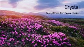  Presentation with pink sky - Presentation design featuring dramatic sky and colorful sunset background and a light blue colored foreground
