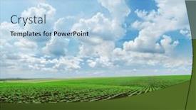  Presentation with sunflowers - Theme having dramatic sky and spring field with little sunflowers background and a light blue colored foreground