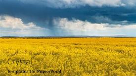 Presentation with rain clouds - Cool new PPT theme with dramatic-storm-clouds-with-rain backdrop and a gold colored foreground