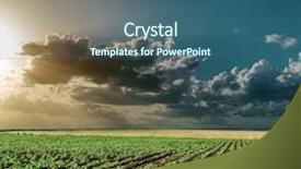  Presentation with sunflowers - Cool new theme with dramatic sunset over field with green sunflowers backdrop and a ocean colored foreground