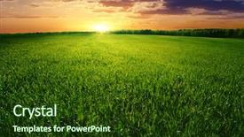  Presentation with yellow green - PPT theme having dramatic sunset over green field background and a tawny brown colored foreground