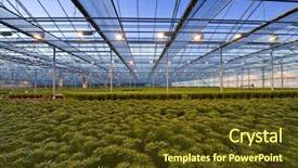  Presentation with shield - Slides featuring drapes being pulled to shield the light and insulate a huge glasshouse background and a tawny brown colored foreground