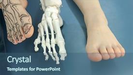  Presentation with anatomy bones - Colorful presentation design enhanced with drawing bones on the skin backdrop and a ocean colored foreground