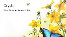  Presentation with meadow - Cool new theme with drawing flower butterfly - butterflies in spring meadow backdrop and a white colored foreground