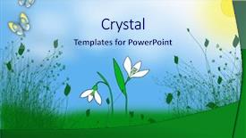 Presentation with easter - Presentation theme having drawing flower butterfly - easter illustration snowdrops background and a  colored foreground