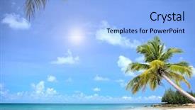 Presentation with luxury nature - Amazing PPT theme having dream beach with palm trees backdrop and a light blue colored foreground