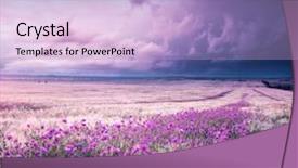  Presentation with nature art - Beautiful PPT theme featuring dream catcher - meadow of wheat and poppy backdrop and a light blue colored foreground