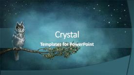  Presentation with branch - Amazing slide set having dream fantasy - owl bird sitting on branch backdrop and a teal colored foreground