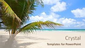  Presentation with palm tree - Presentation theme featuring dream scene beautiful palm tree over white sand beach summer nature view background and a cream colored foreground