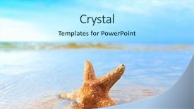  Presentation with sea shell - Colorful PPT layouts enhanced with dream sea shell backdrop and a arctic colored foreground