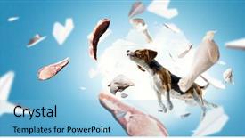  Presentation with dog - Amazing PPT theme having dreamlike - funny dreaming dog mixed media backdrop and a light blue colored foreground