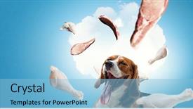  Presentation with funny - PPT theme consisting of dreamlike - funny dreaming dog mixed media background and a light blue colored foreground