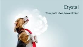  Presentation with funny - Colorful presentation enhanced with dreamlike - funny dreaming dog mixed media backdrop and a sky blue colored foreground