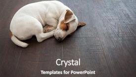  Presentation with sleeping - Slides featuring dreamlike - puppy at home dog sleeping background and a dark gray colored foreground