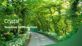  Presentation with rural road - Presentation theme enhanced with dreamlike - trees and bushes background and a forest green colored foreground