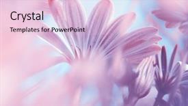  Presentation with fine art - Slide deck enhanced with dreamy floral background fine art background and a lemonade colored foreground