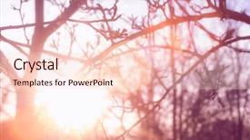  Presentation with shining light - Slide deck enhanced with dreamy image with sun glare background and a  colored foreground