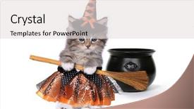  Presentation with kitten - Colorful presentation design enhanced with dress up - funny halloween witch themed kitten backdrop and a light gray colored foreground
