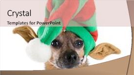  Presentation with elf - Colorful presentation theme enhanced with dressed up as an elf backdrop and a soft green colored foreground