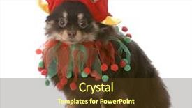  Presentation with tan - Cool new PPT theme with dressed up as santa elf backdrop and a tawny brown colored foreground