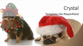  Presentation with elf - Amazing presentation theme having dressed up as santa elf backdrop and a white colored foreground