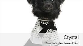  Presentation with year transfer - Slide deck having happy family a good time background and a mint green colored foreground