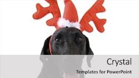  Presentation with antlers - Slides having dressed up in reindeer antler background and a light gray colored foreground