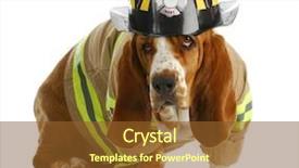  Presentation with fire fighter - Colorful presentation theme enhanced with dressed up like a fire backdrop and a tawny brown colored foreground