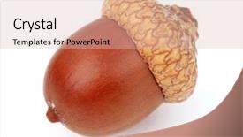  Presentation with dried banana chips - Presentation with dried acorn in closeup background and a lemonade colored foreground