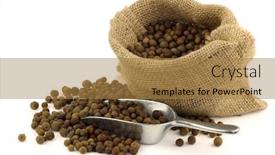  Presentation with allspice - Colorful PPT theme enhanced with dried-allspice-jamaica-pepper backdrop and a coral colored foreground