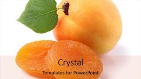  Presentation with apricot - PPT theme consisting of dried and fresh apricots background and a gold colored foreground