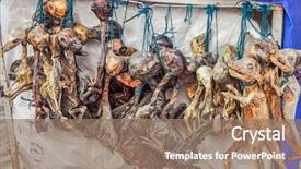  Presentation with witches - Presentation having dried animal fetuses as amulets background and a coral colored foreground