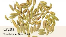  Presentation with seeds - Amazing slides having dried anise seeds aniseed isolated over white background backdrop and a lemonade colored foreground