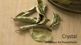 Presentation with curry leaves - PPT layouts enhanced with dried aromatic curry leaves close background and a  colored foreground