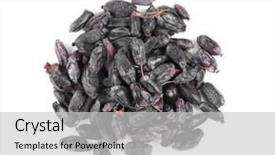  Presentation with barberry - Cool new slides with dried barberry isolated on white backdrop and a light gray colored foreground