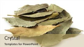  Presentation with curry leaves - Audience pleasing PPT layouts consisting of dried bay leaves in pale backdrop and a yellow colored foreground