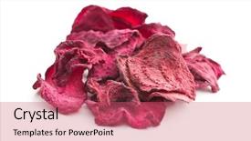  Presentation with beetroot - PPT layouts enhanced with dried beetroot chips isolated background and a coral colored foreground