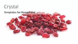  Presentation with berberis - Presentation theme consisting of dried-berberis-in-closeup background and a white colored foreground