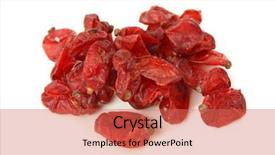  Presentation with berberis - PPT theme with dried berberis isolated on white background and a coral colored foreground