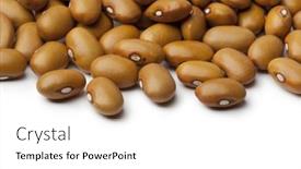  Presentation with beans - Audience pleasing presentation theme consisting of dried-brown-beans-close-up backdrop and a white colored foreground