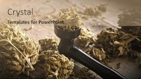  Presentation with cbd - Slide set enhanced with dried-cannabis-hemp-flowers background and a coral colored foreground