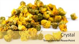  Presentation with chamomile - Colorful presentation design enhanced with dried chamomile flower isolated backdrop and a yellow colored foreground